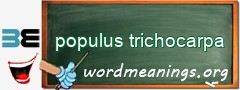 WordMeaning blackboard for populus trichocarpa